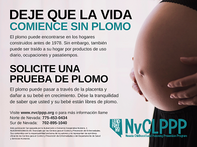 Pregnancy Poster - Spanish